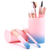 12 Piece Pink Ombre Makeup Brush Set