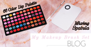  66 Color Lipstick Palette Review