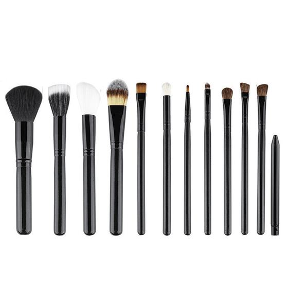 12 Piece Brush Set in Round Case