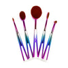 5 Piece Galaxy Oval Brush Set