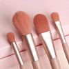 4 Pcs Makeup Brushes Set