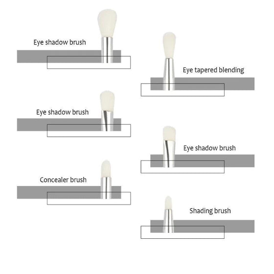 6 Pcs Professional Eye Shadow Brushes Set