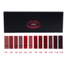 Pro Velvet Matte Lip Kit (12 Piece)